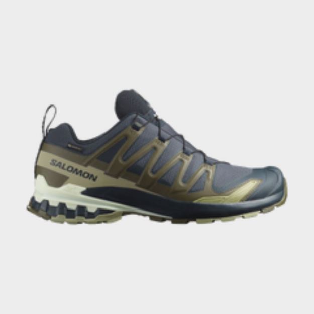 Picture of SALOMON - XA PRO 3D V9 GTX OLIVE